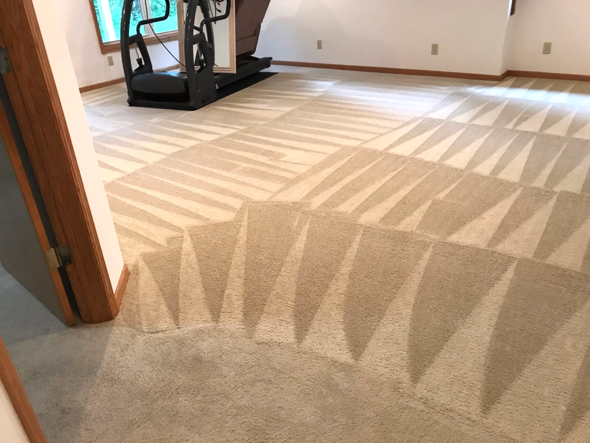 Before and after carpet