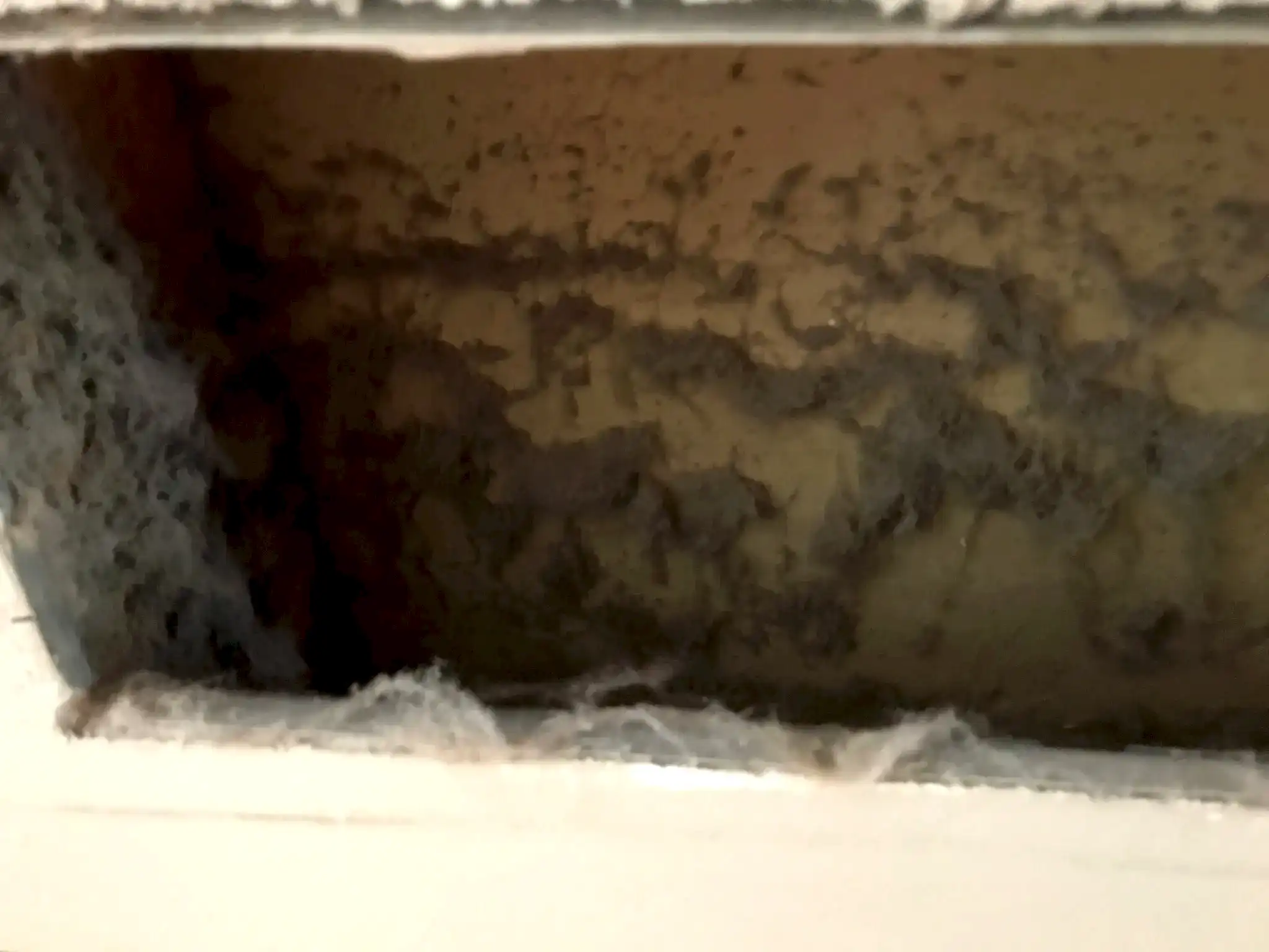 Air Duct Cleaning - Before