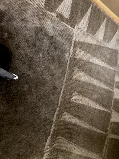 Carpet Cleaning 3